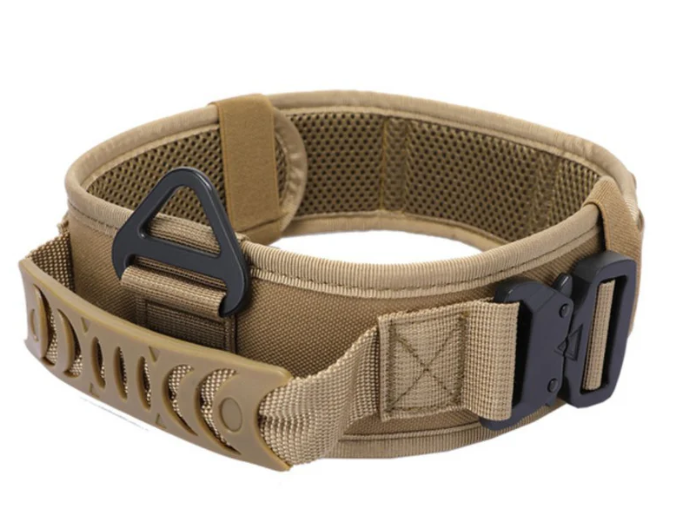 Collar Tactico Para Perro