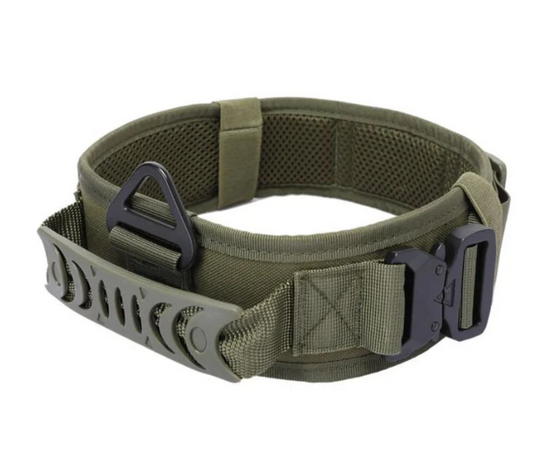 Collar Tactico Para Perro